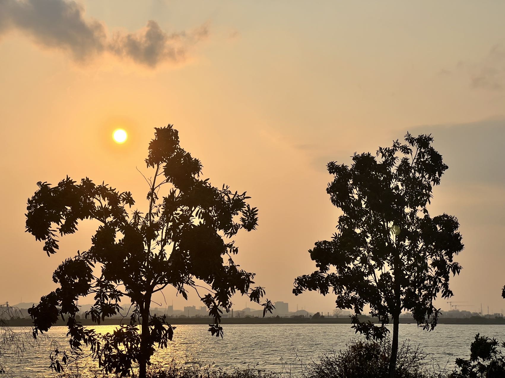 找运动吃喝搭子