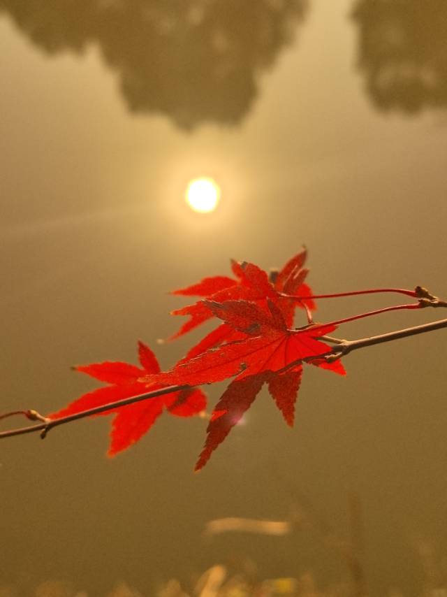 找旅游搭子