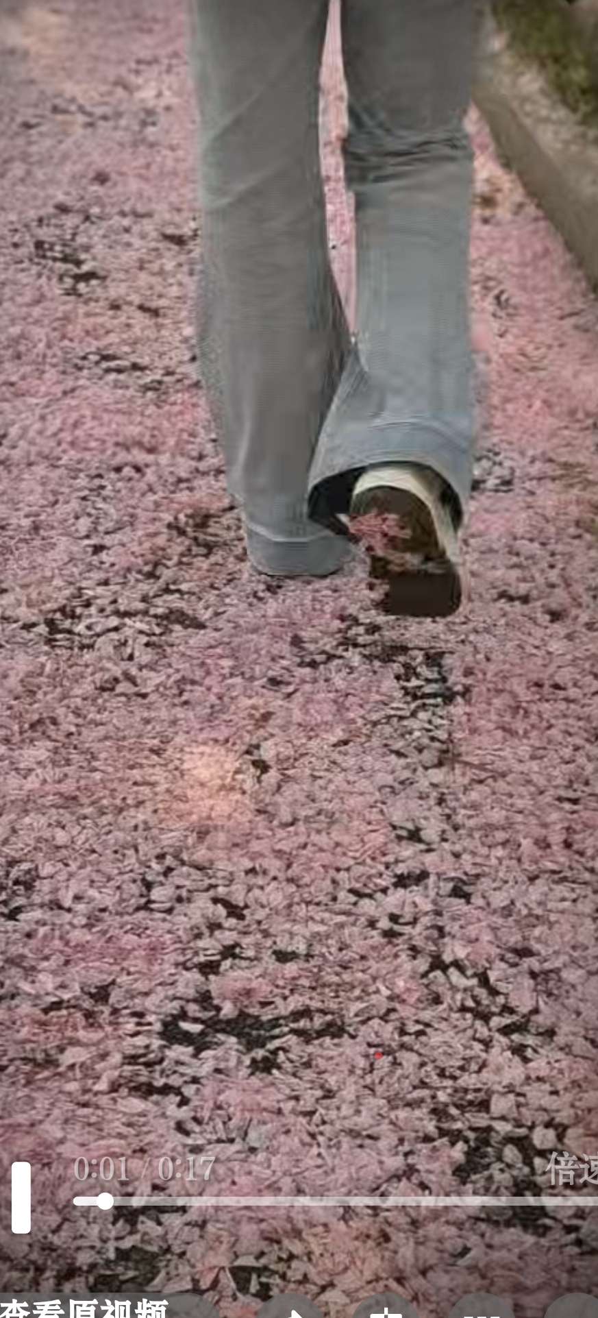 找运动看书搭子