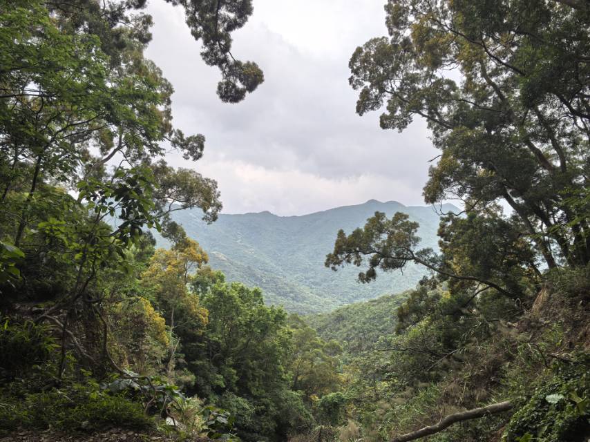 找旅游运动搭子