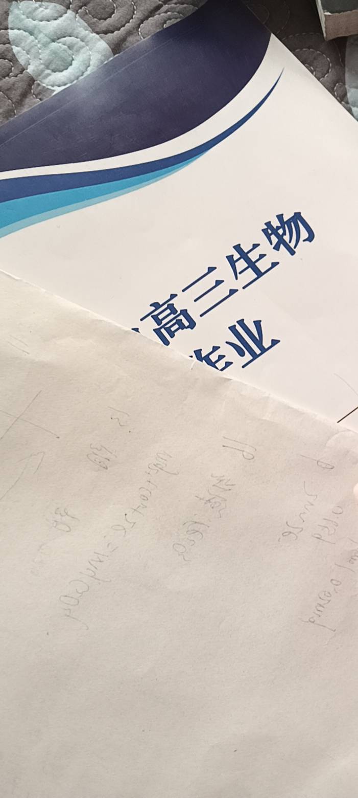 找学习搭子