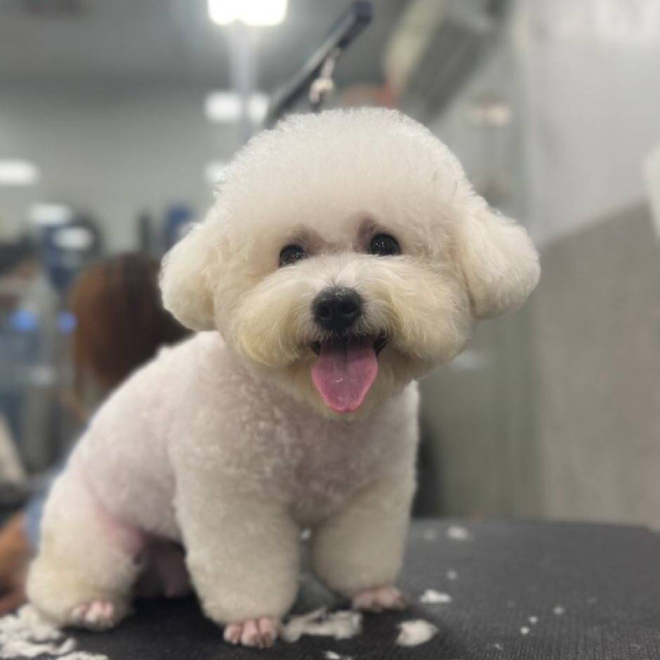 找开朗活泼搭子