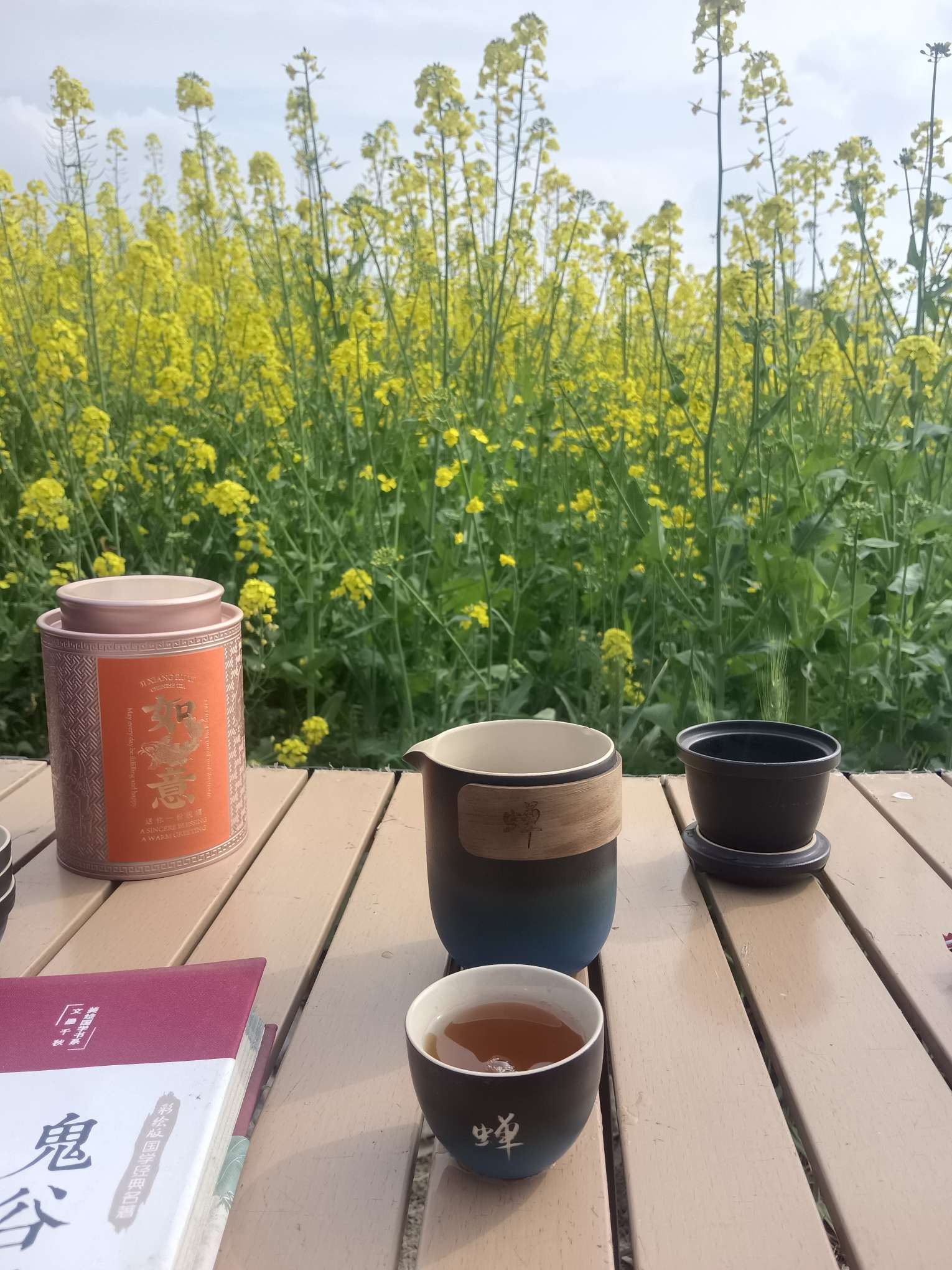 找长期生活搭子