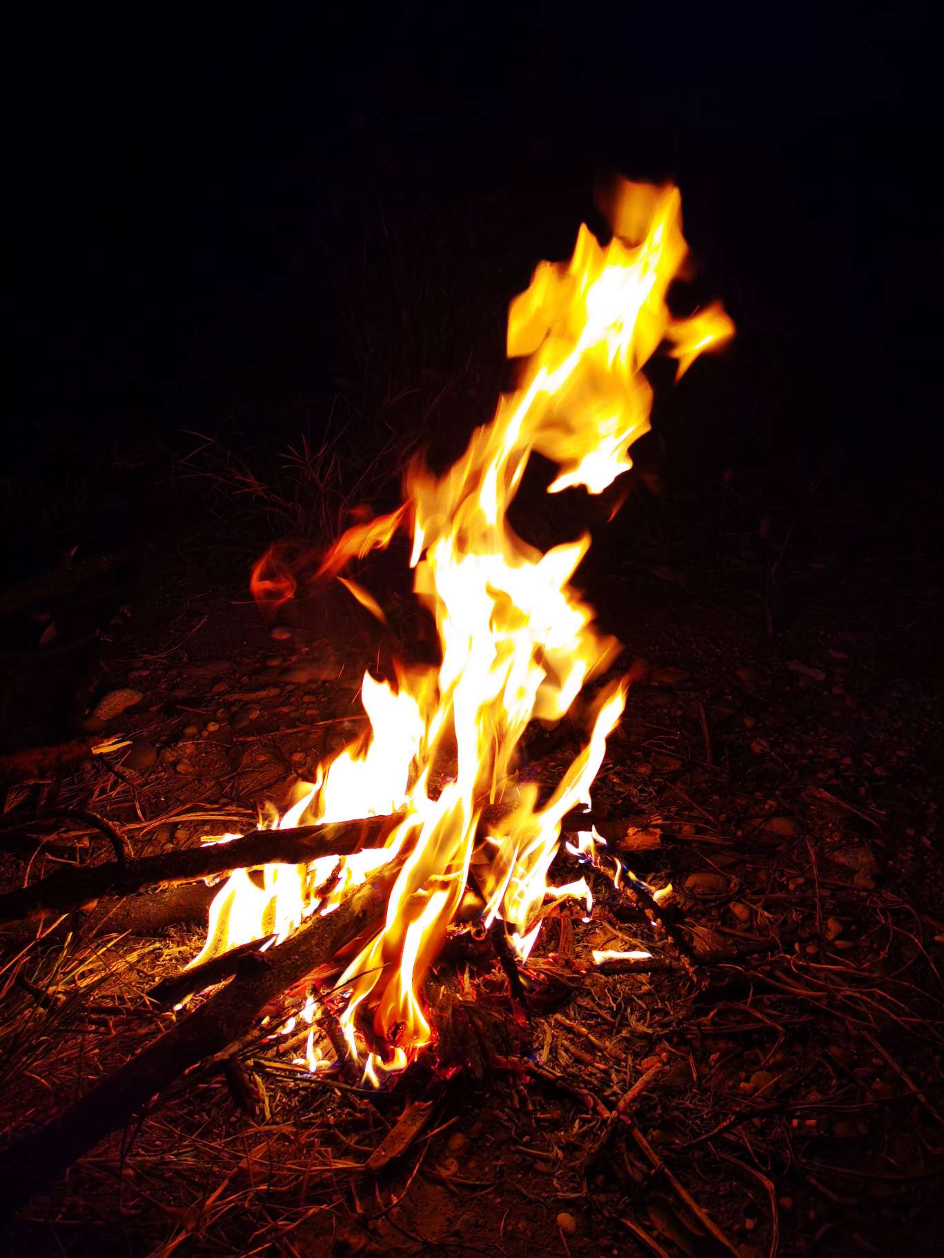 找长期生活搭子