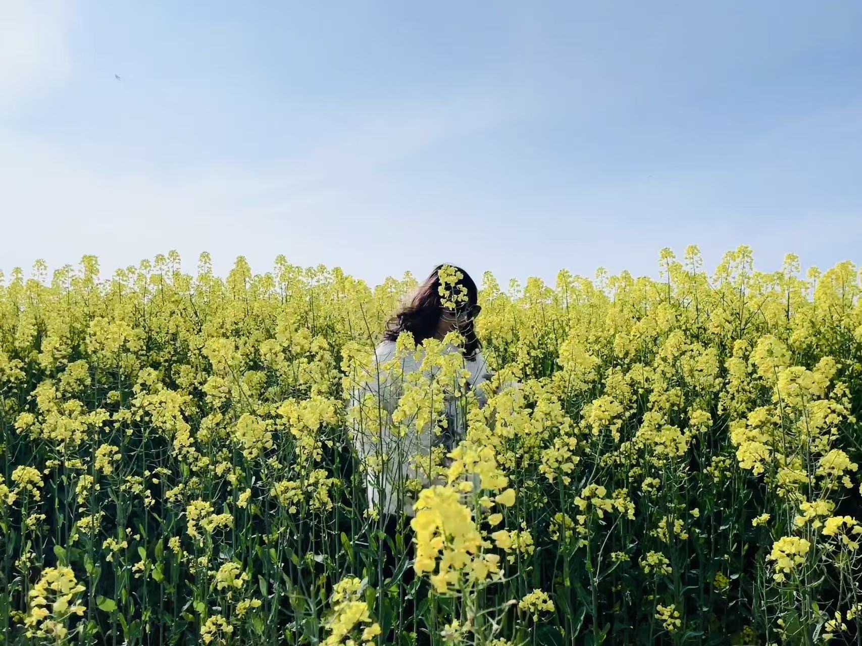 找散步游玩搭子