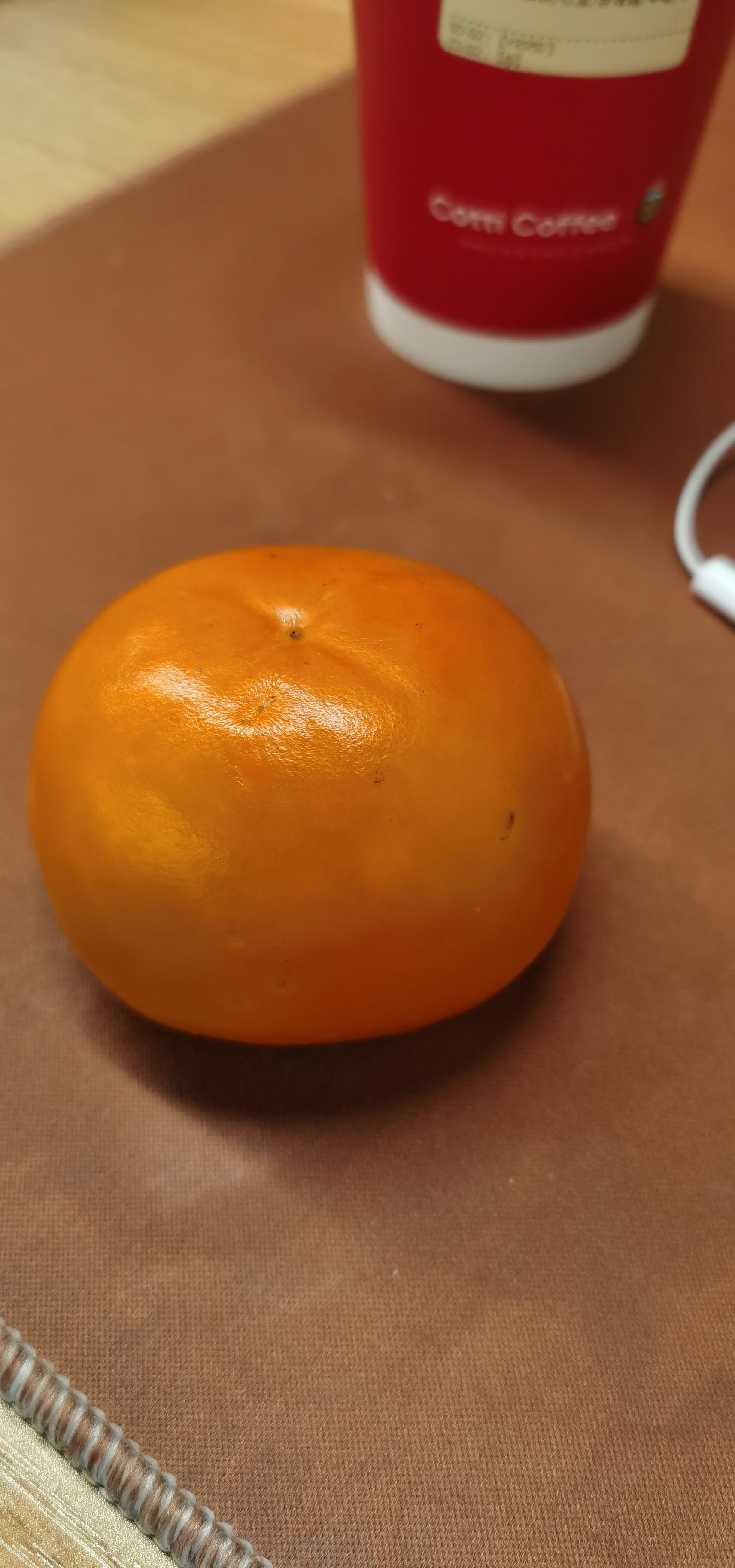 找志趣相投搭子