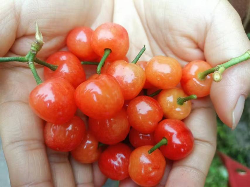 找户外运动搭子