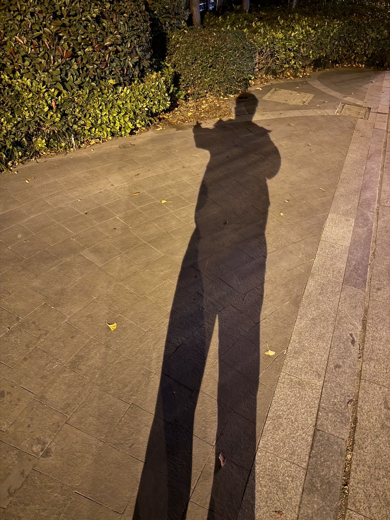 找运动减肥搭子