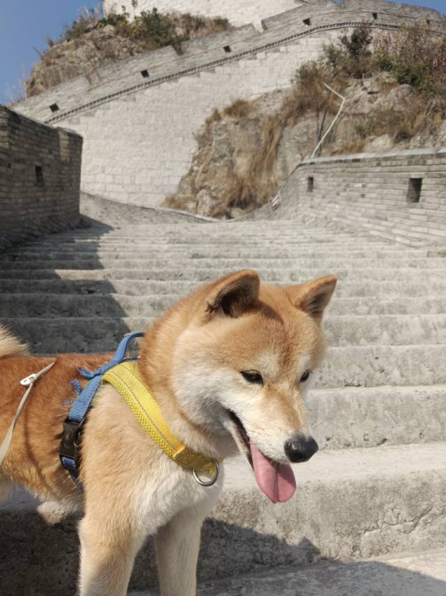 找运动旅游搭子