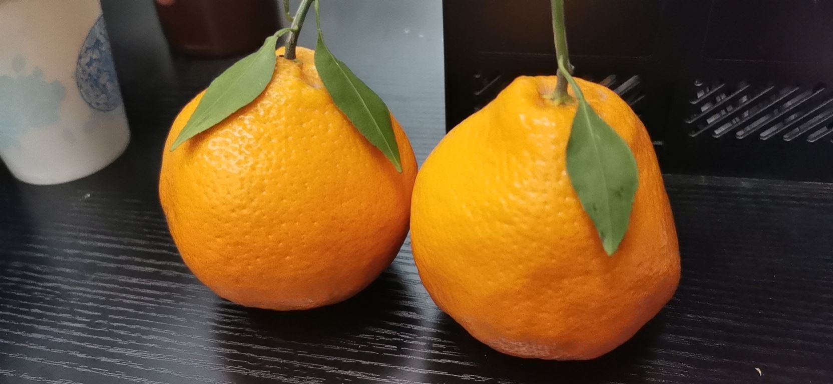 找游玩搭子