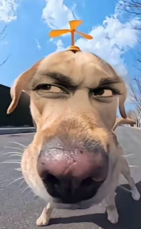 找运动跑步搭子