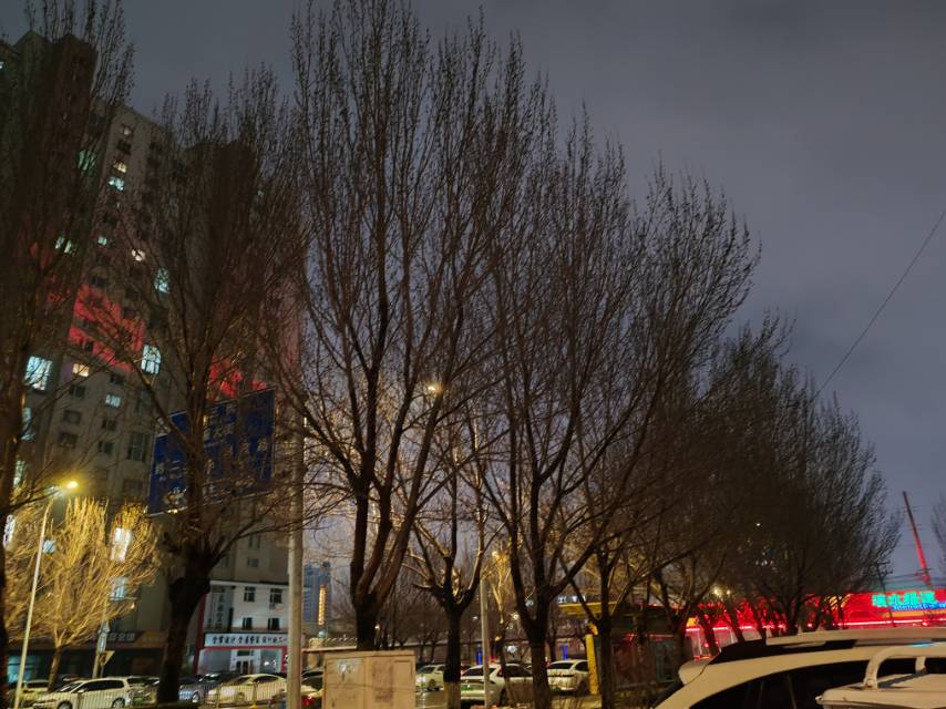 找辟谷打坐运动搭子