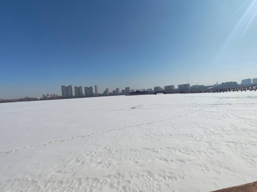 找辟谷打坐运动搭子