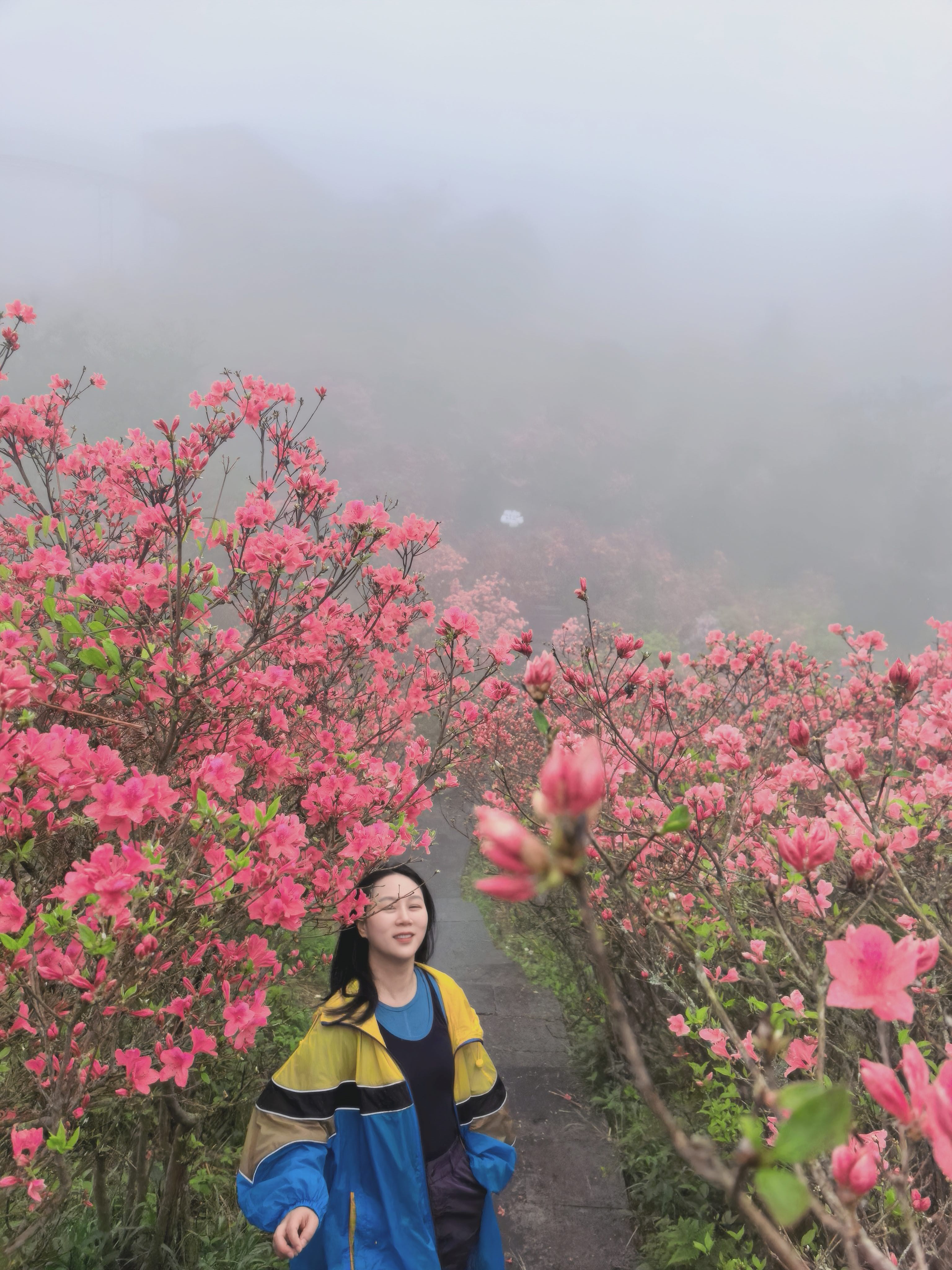 找走遍万山千水搭子