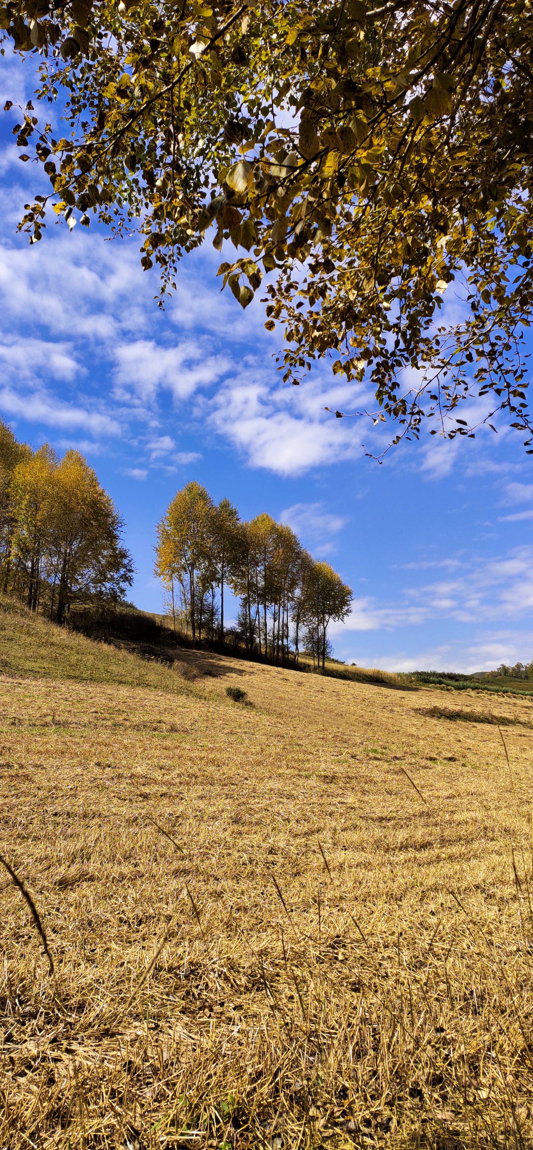 找户外散步聊天搭子
