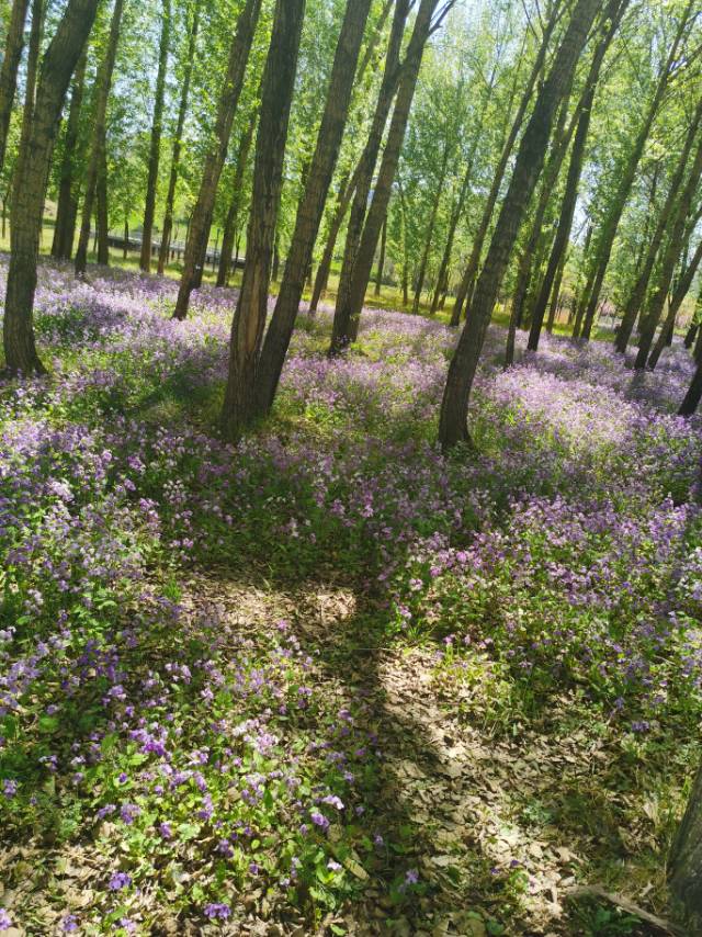 找户外散步聊天搭子