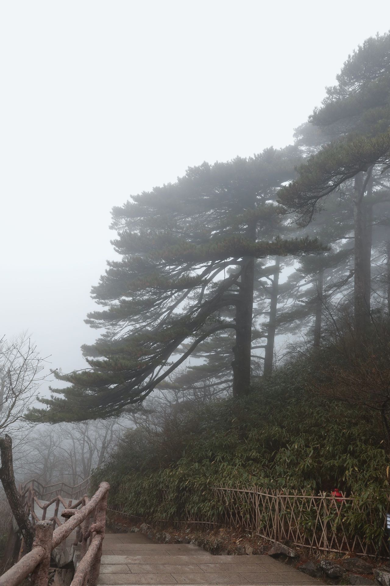 找户外旅行搭子