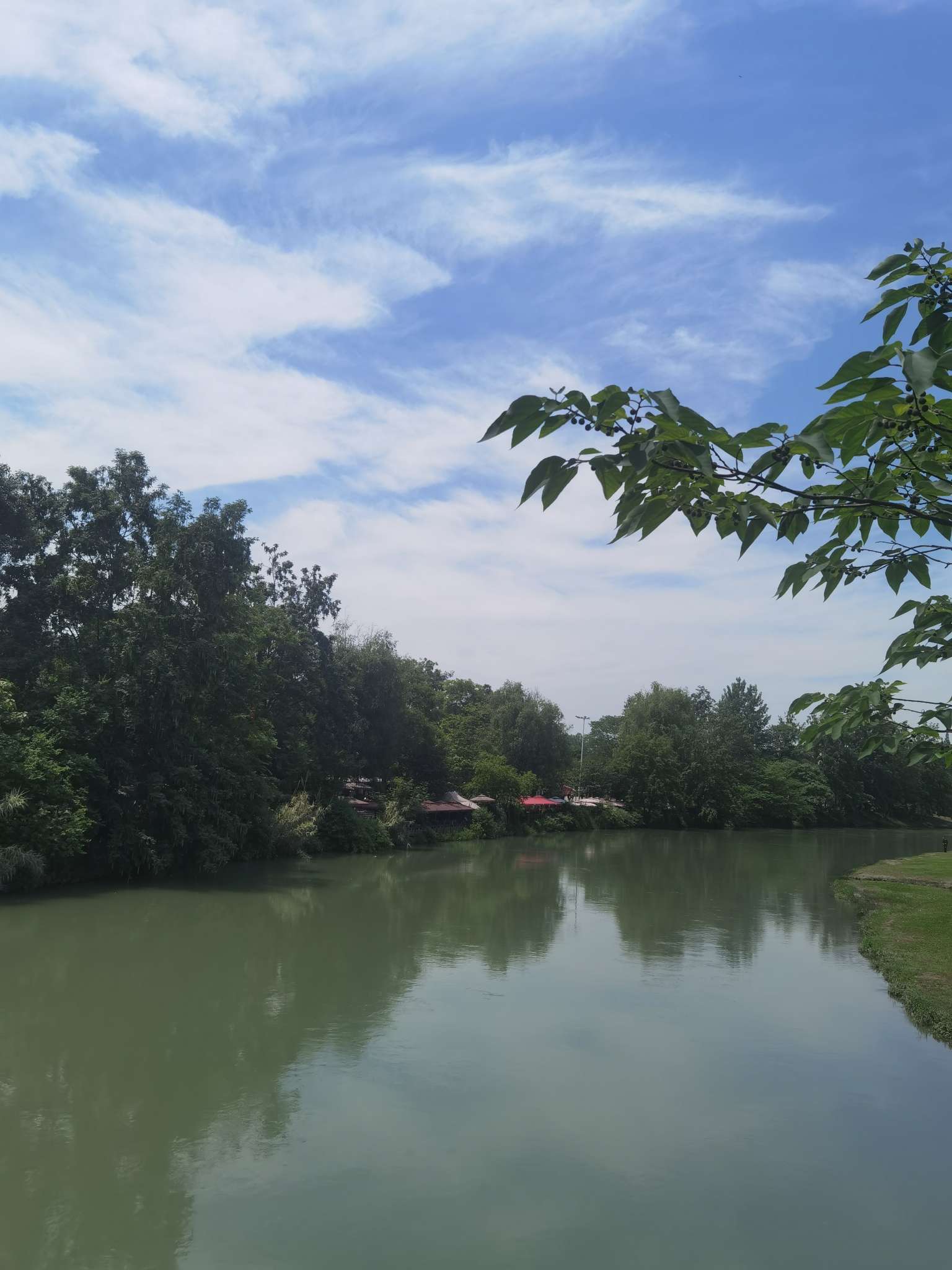 找打羽毛球健身搭子