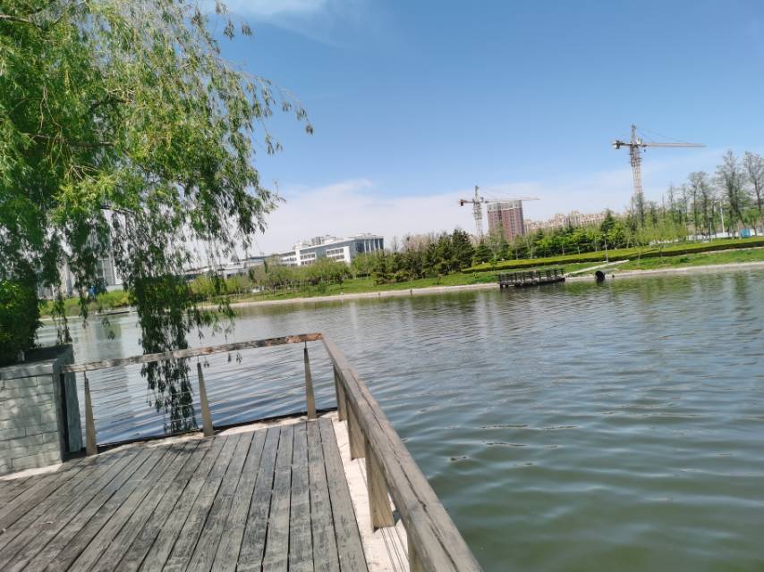 找吃喝玩乐搭子