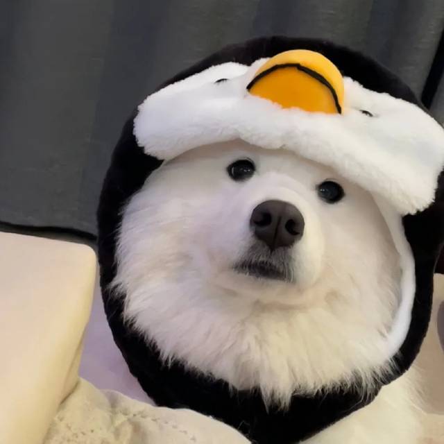 找台球搭子