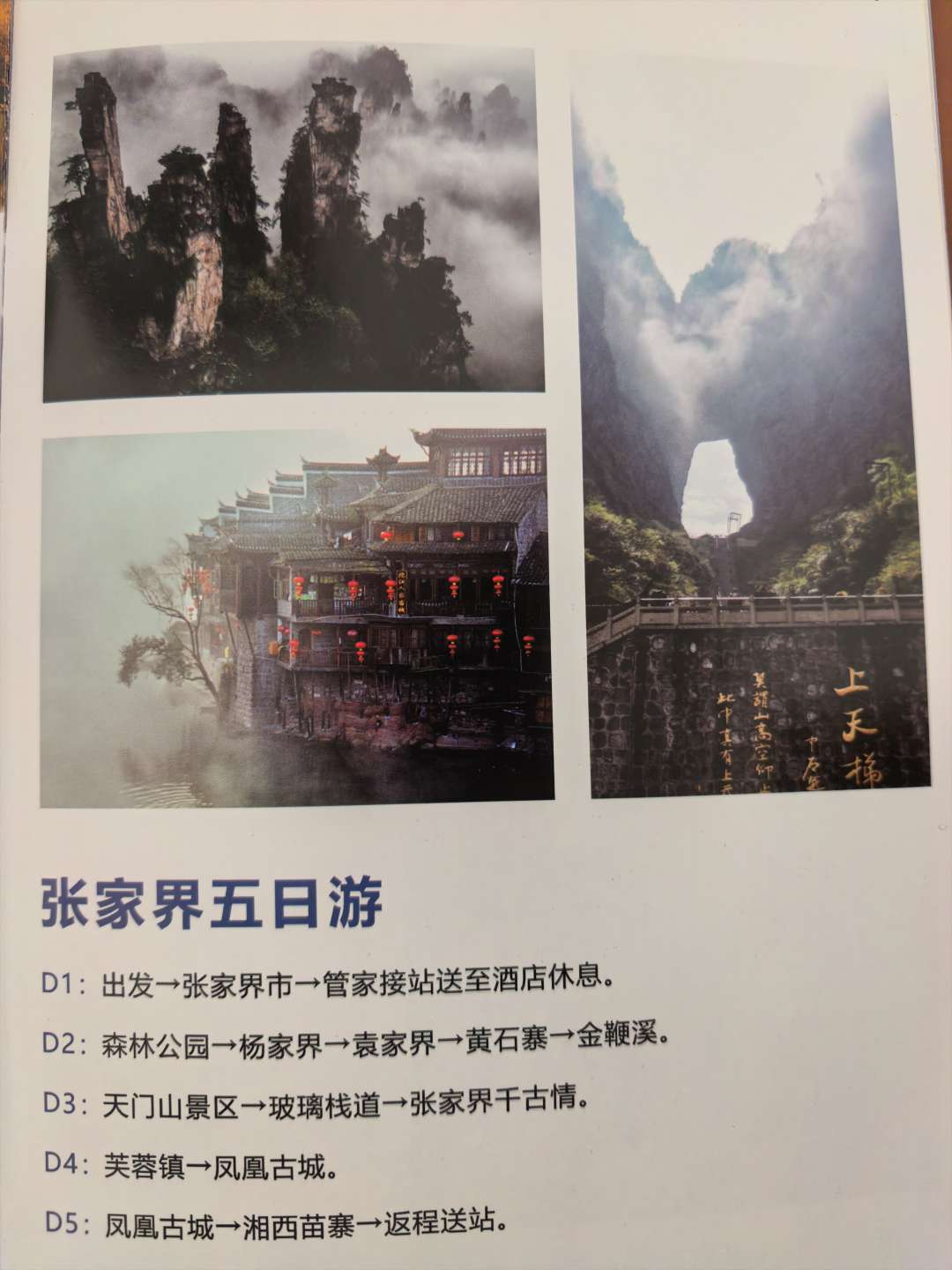 找五一旅游搭子