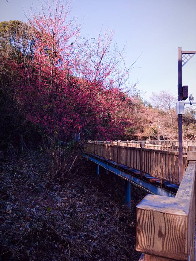 找旅游搭子