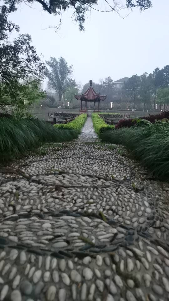 找游戏或美食搭子