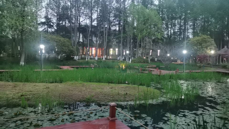 找游戏或美食搭子