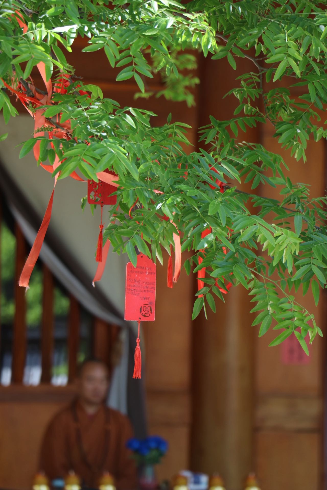 找喝酒运动读书搭子