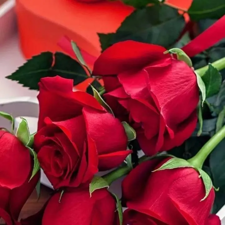 找运动跳舞搭子