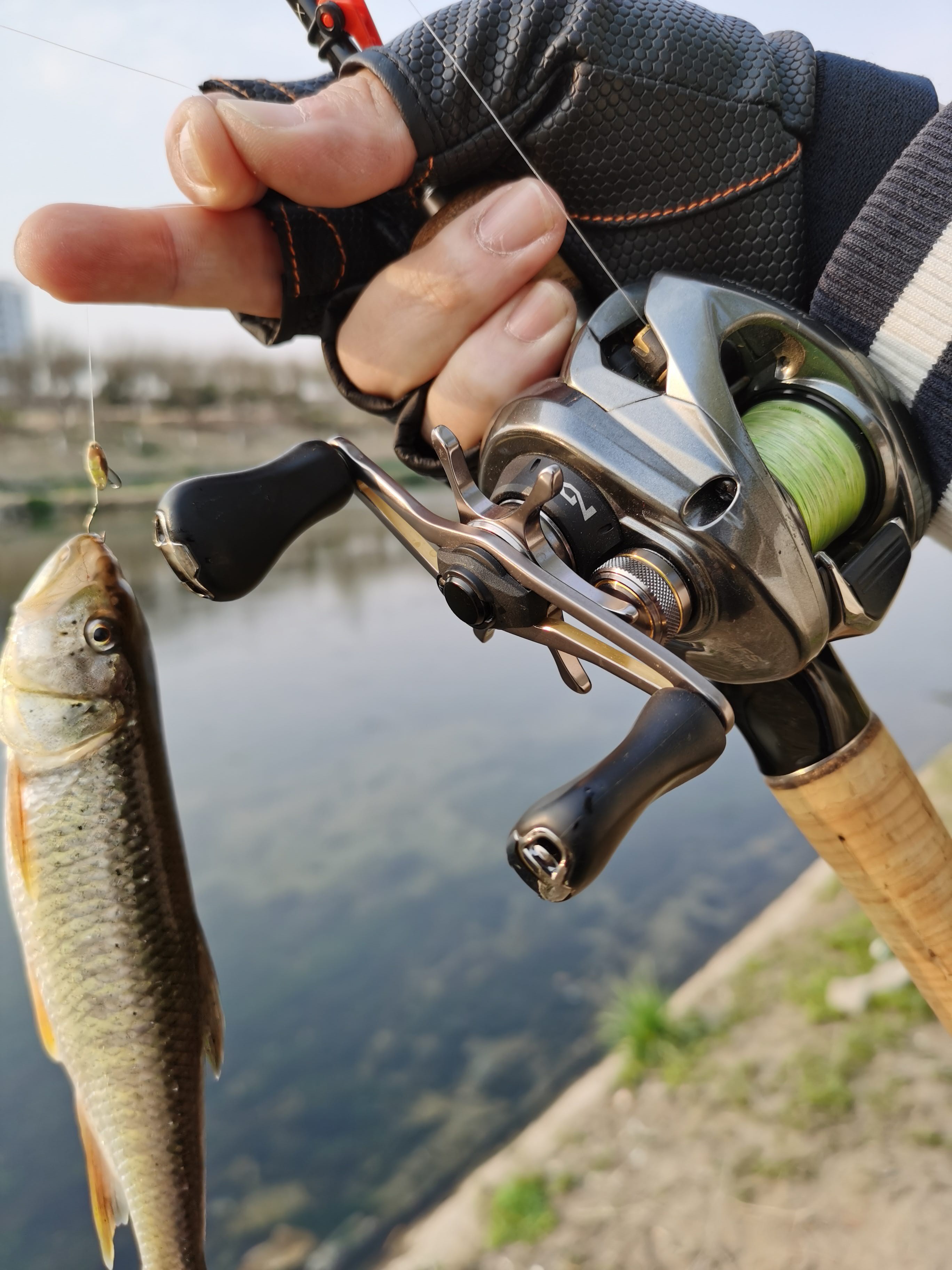 找露营路亚三角搭子