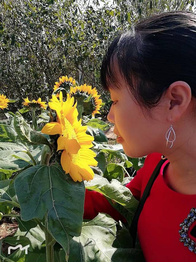 找聊天喝茶搭子