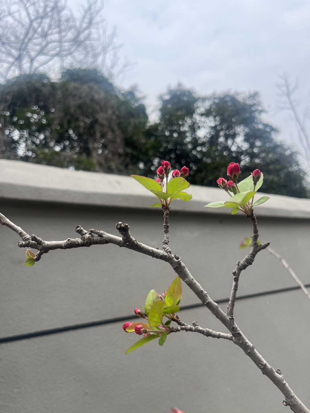 找约会搭子