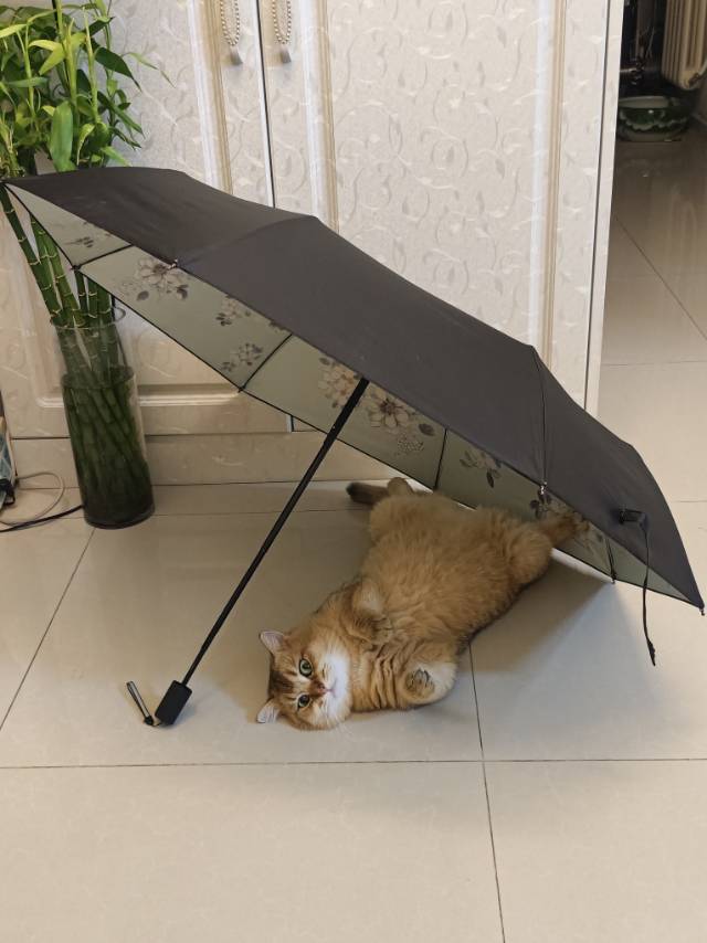 找运动搭子