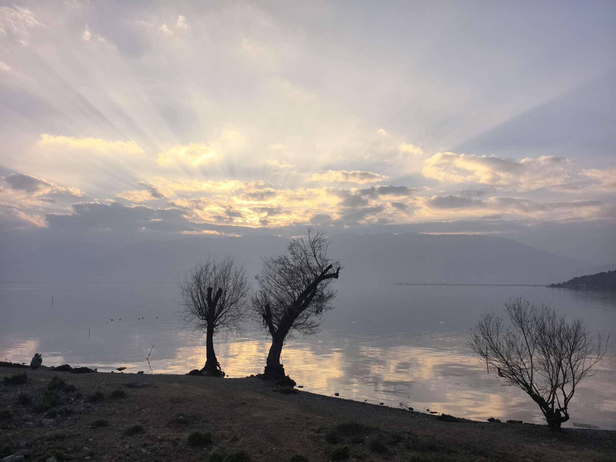 找旅行搭子