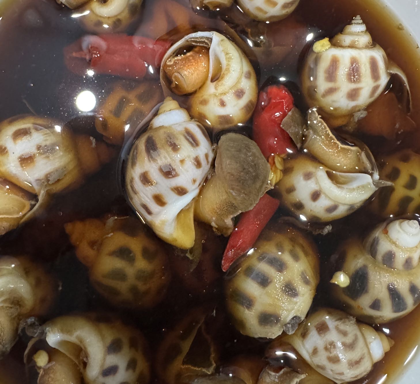 找饭搭子
