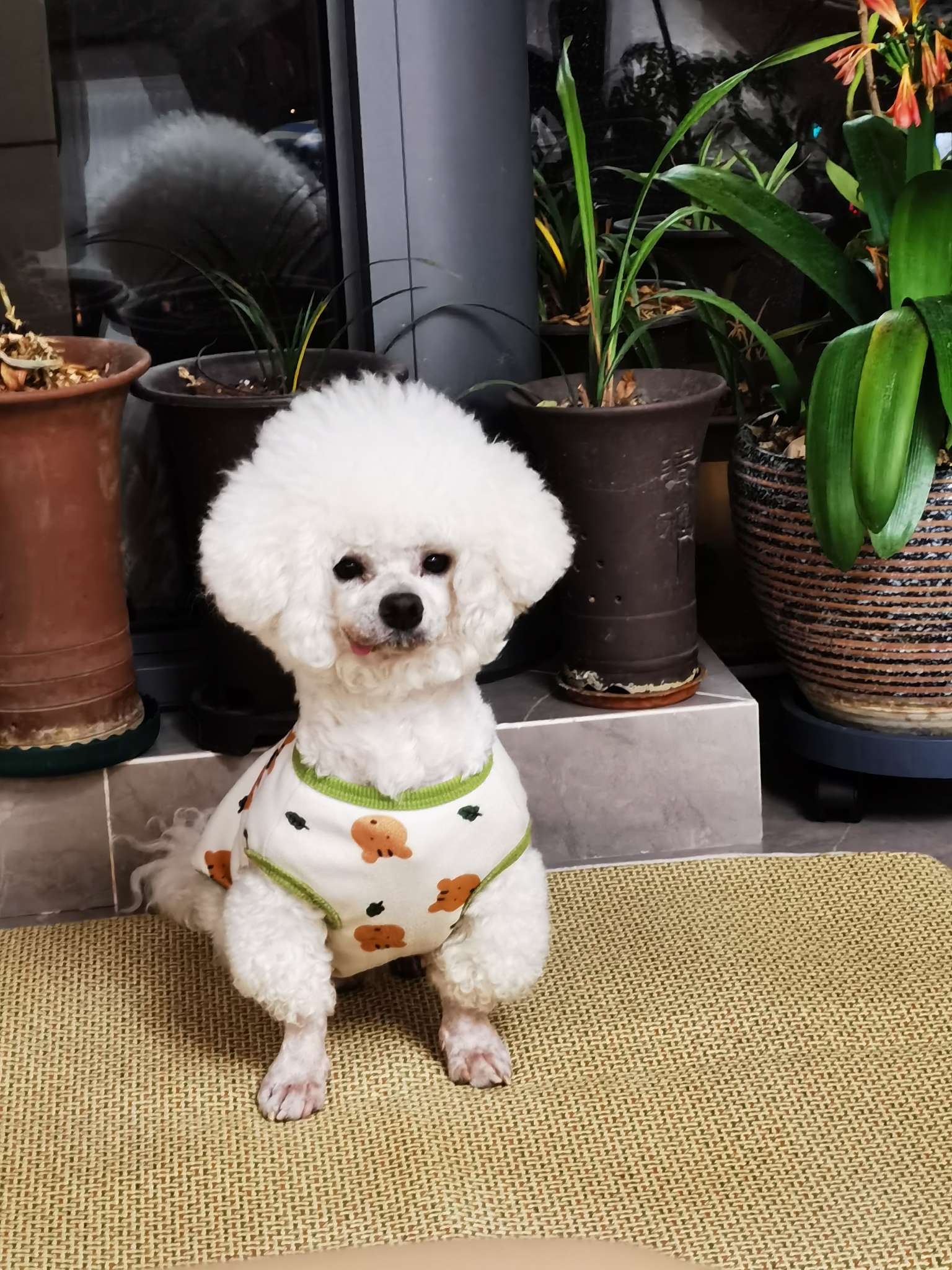 找跑步搭子