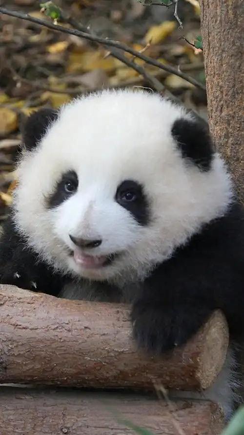 找运动聊天搭子