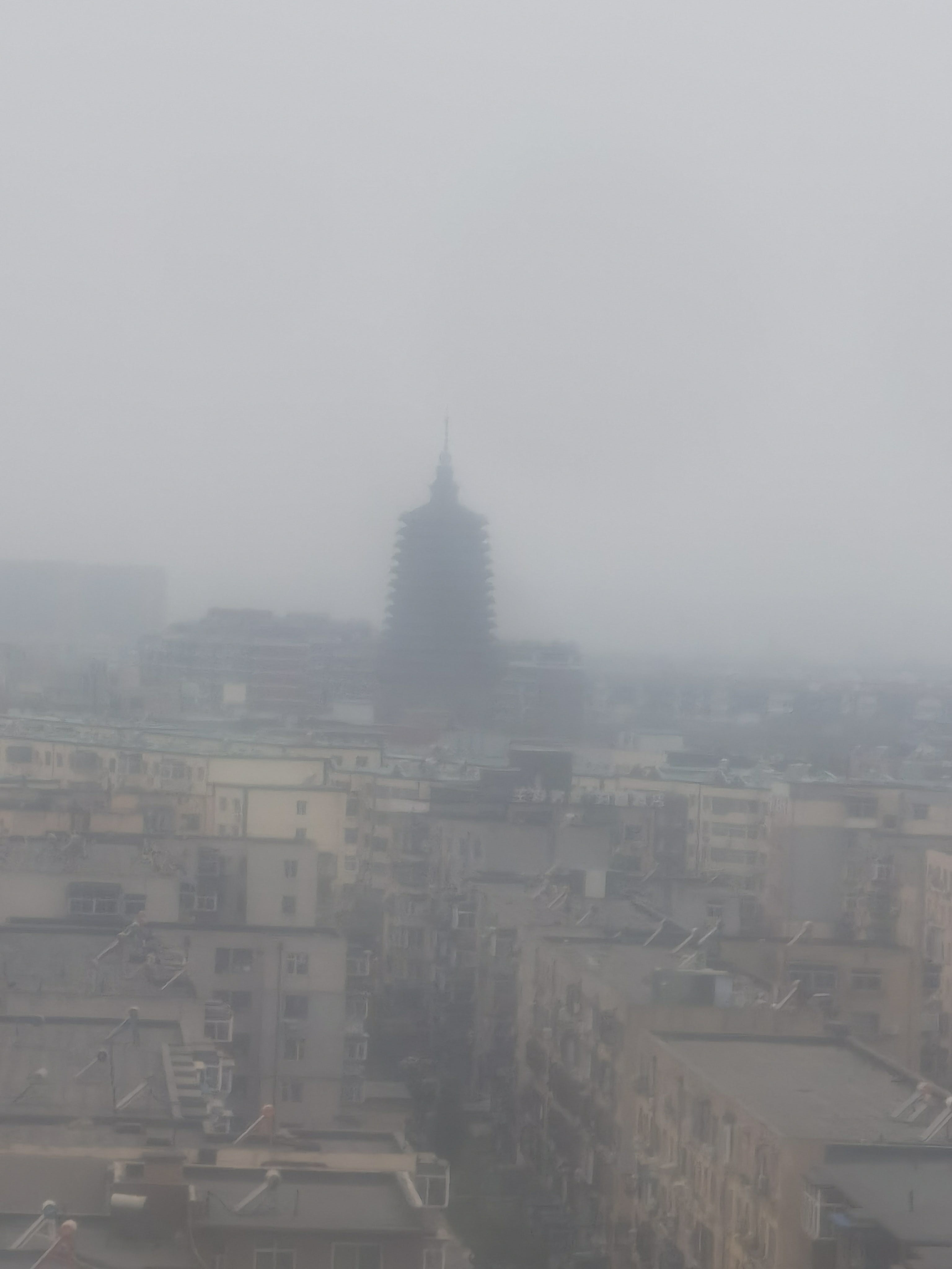 找闲逛搭子