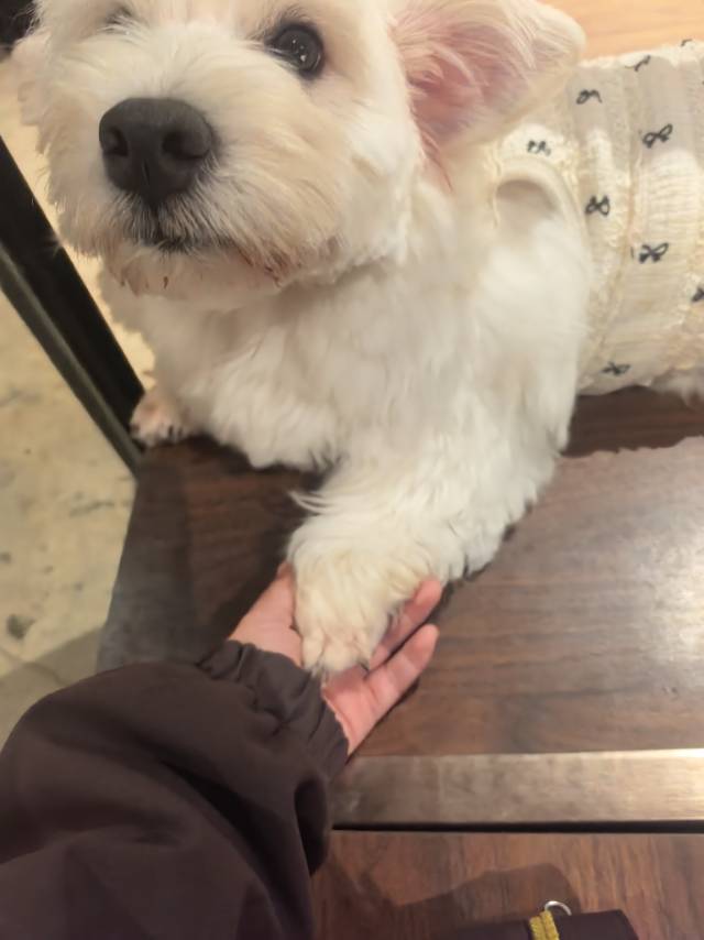 找运动撸猫撸狗搭子