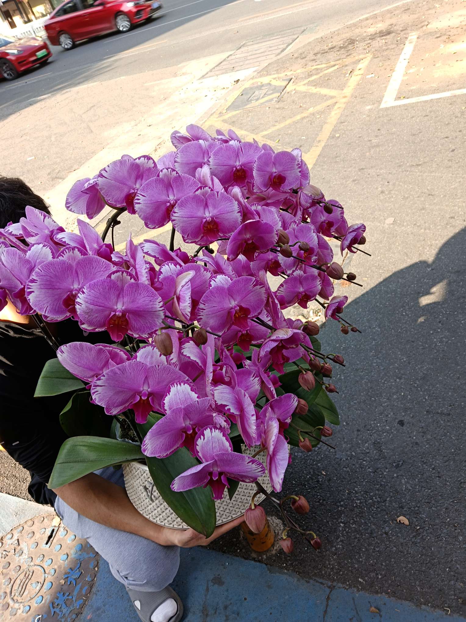 找旅游健身搭子