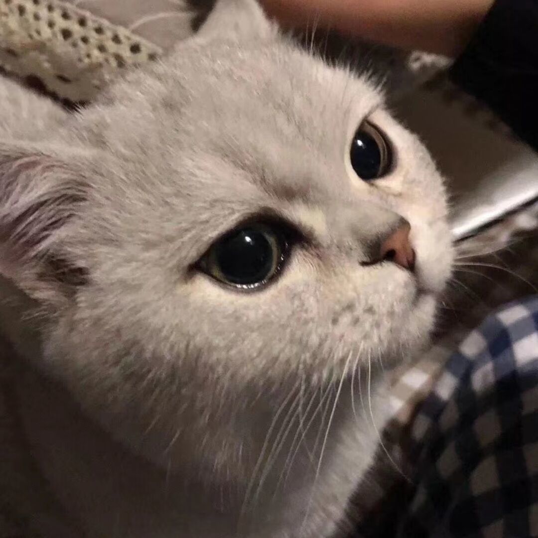 找运动搭子