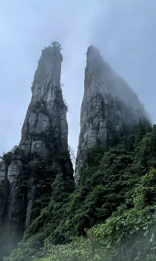找电影搭子