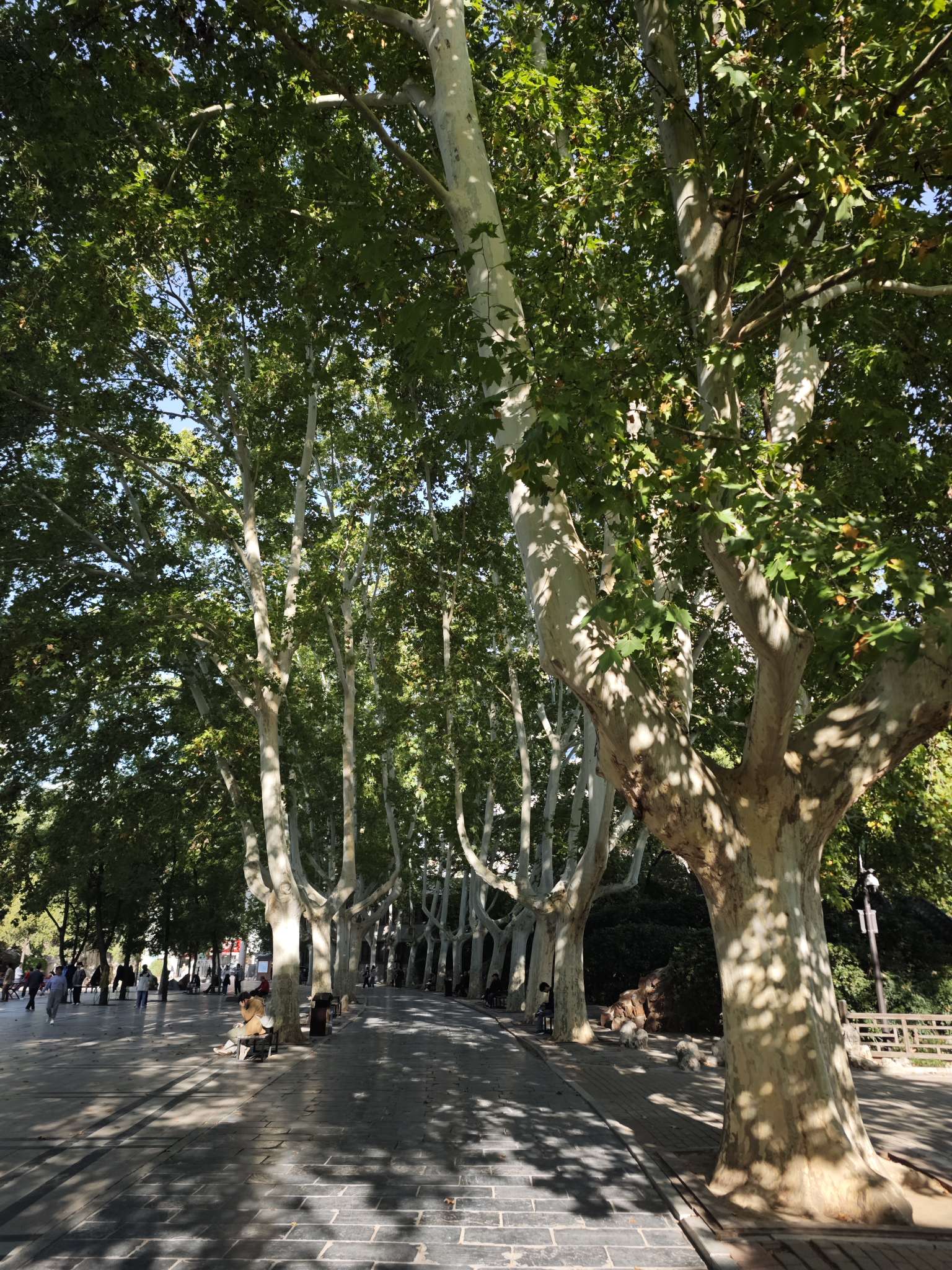 找旅游搭子