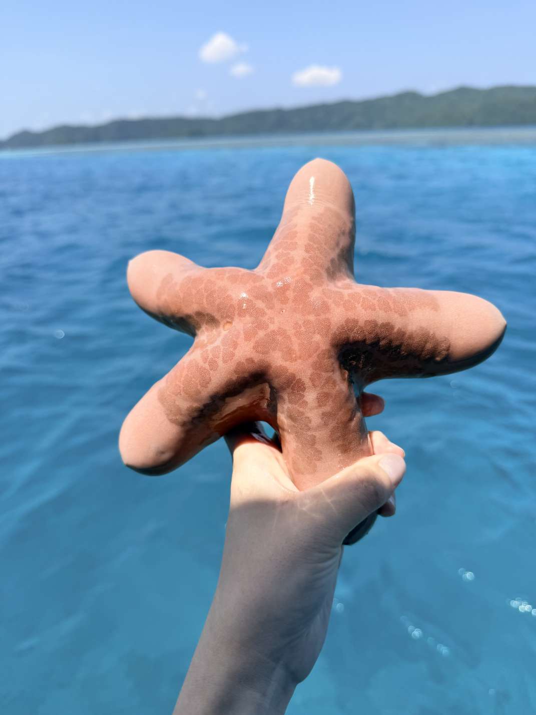 找徒步自驾搭子