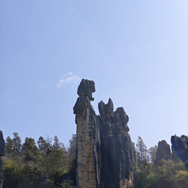 找吃喝玩乐搭子