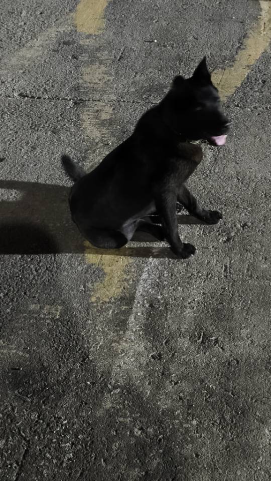 找运动搭子