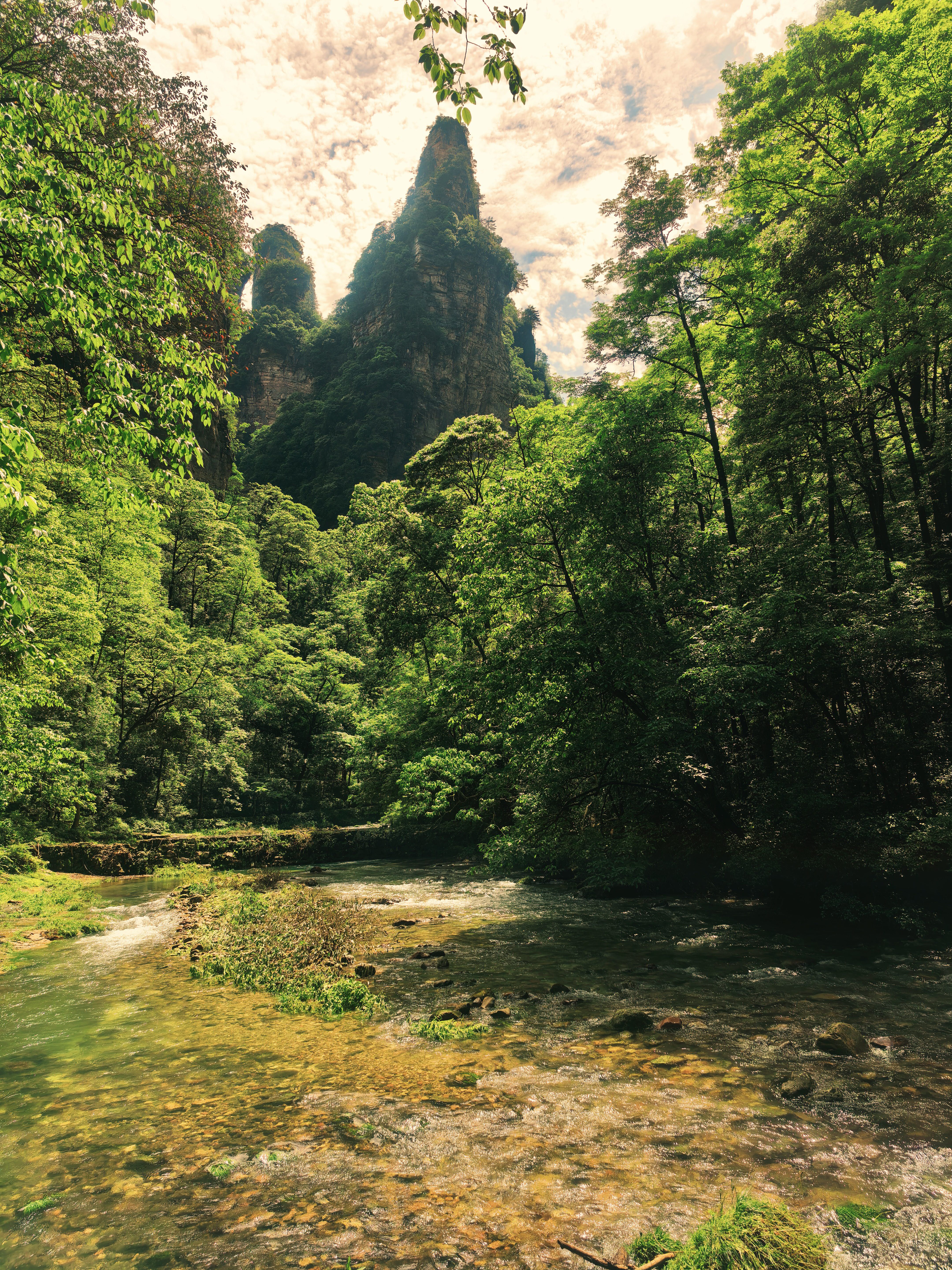 找旅游搭子