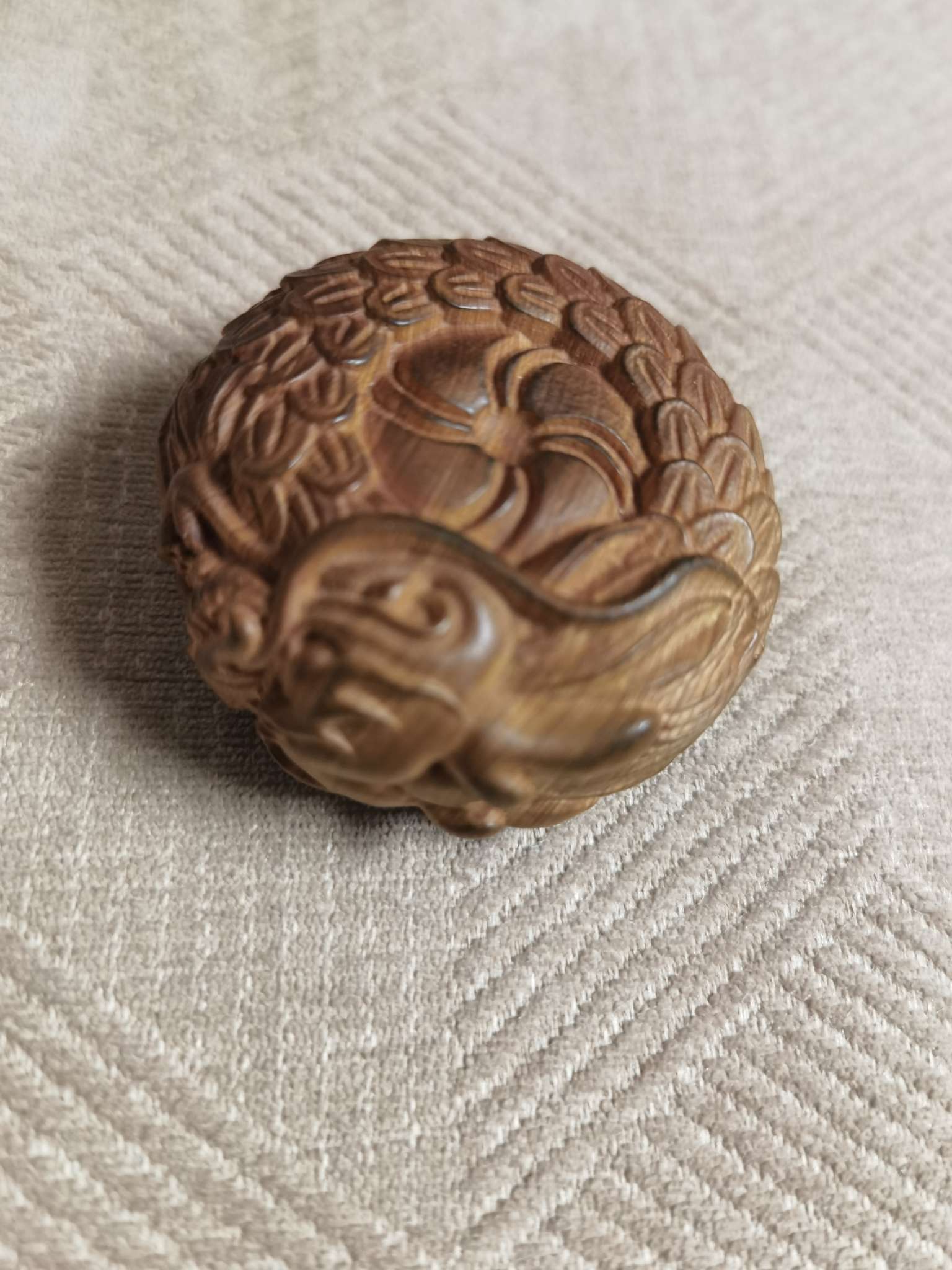 找自驾游搭子