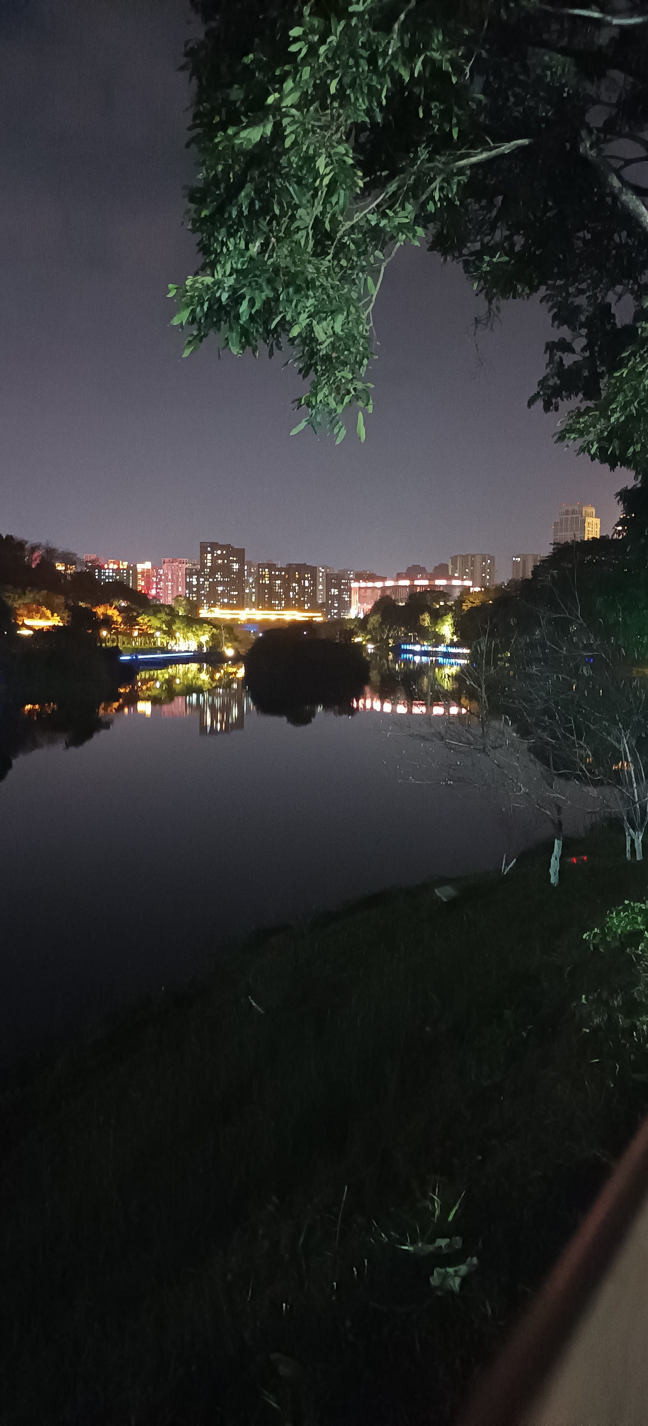 找夜跑看夜景聊天搭子